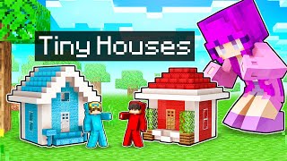Nico vs Cash TINY House Battle in Minecraft!