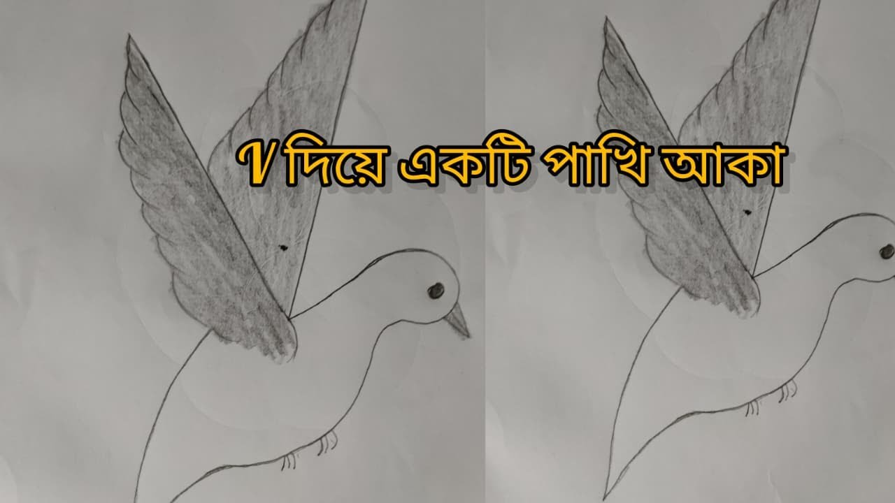 V দিয়ে একটি পাখি আঁকা | Simple Drawing | Easy Art | Easy Drawing ...