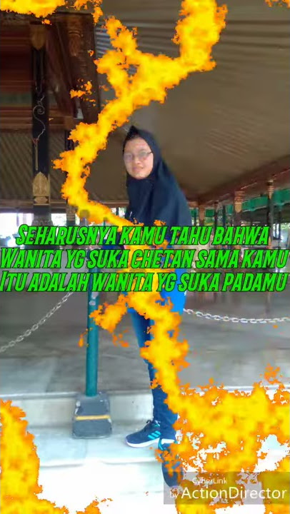 Di wik wik... story WA
