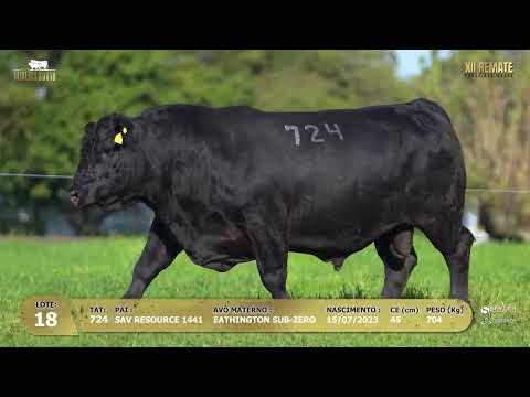 LOTE 018