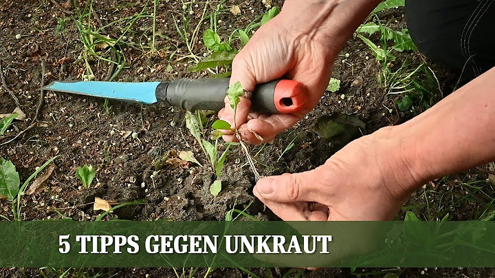 5 Tipps gegen Unkraut - Wie bleibt mein Garten unkrautfrei?