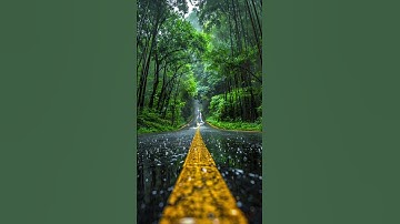 تلاوه هادئه للقارئ الشيخ عبد الرحمن مسعد اكتب شئ تؤجر عليه 💚