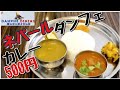 500円ネパールカレー/ダルバート ダンフェダイニング Nepali Restaurant Danphe Dining