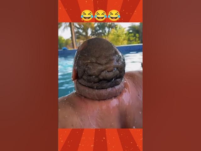 Epic Funny Video 🤣 #funny #funnyvideo #viralshort #fun #comedy  #funnymemes #fail #humor