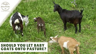 When do you let baby goats onto pasture?