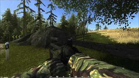 pilot kill on project reality