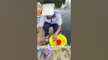 em học sinh đi câu đài hồ dịch vụ bị chủ hồ thu hết lại cá và cái kết # #fishing #cauca #xuhuong