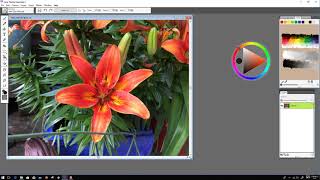 Digital Painting, Corel Painter Essentials, Beginners Guide - learn Arts & Crafts