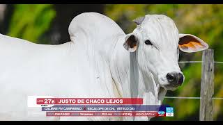 LOTE 27 B