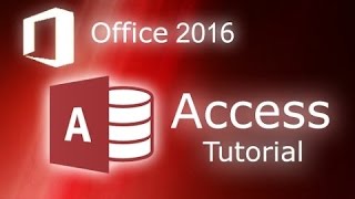 Practical Learnig Using Update Insert in Access