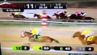 Wild Pimlico ride