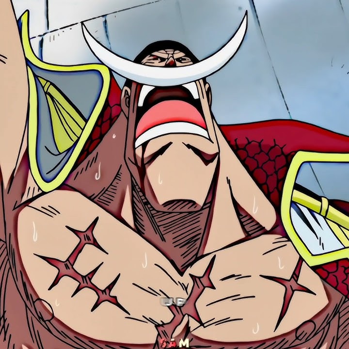 WHITEBEARD AURA 😈