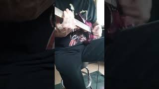 Collective Soul Fuzzy