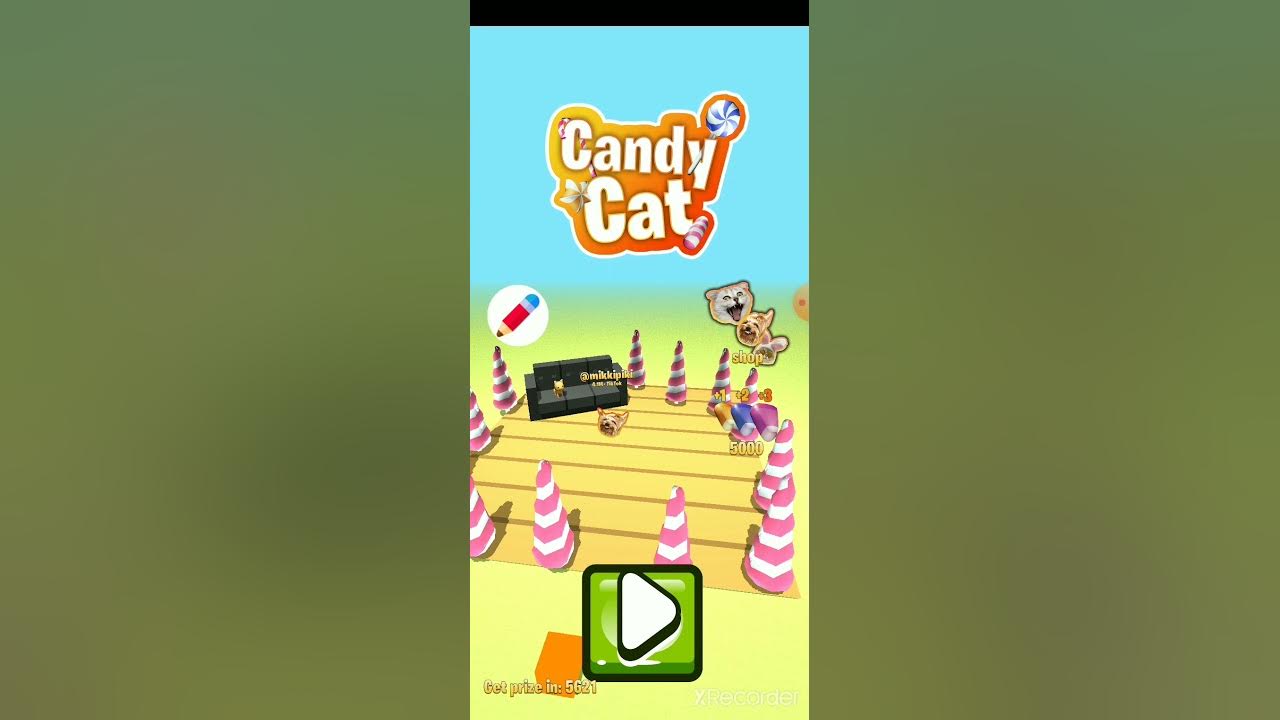 Кэнди кэт игра. Кэнди кэт ульяновск мармелад. Игрушка кэнди кэтс. Канди кат. Candy cat в москве.