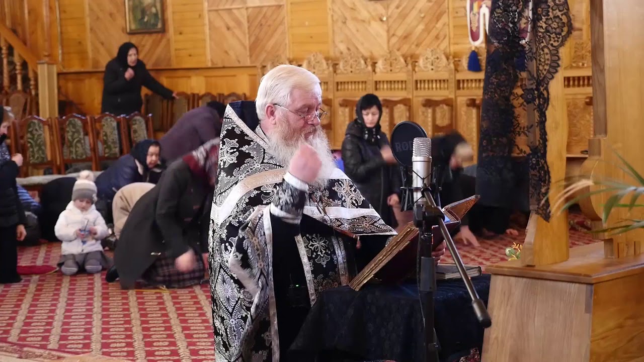 Viermi la preot cum să se descurce - spatv.ro