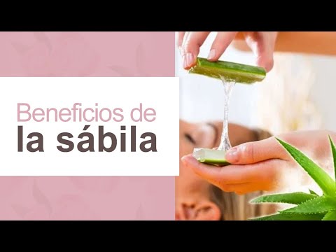 Beneficios de la sábila l Dra. María Clara Mejía