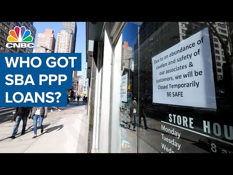 a-breakdown-of-who-actually-got-sba-ppp-loans