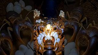 “Inside the Termite Fortress: Soldier POV in a Living Underground Colony”