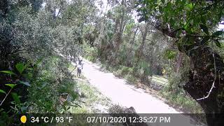 Neighbor throwing trash into canal 3