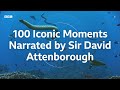 100 Iconic Moments From Sir David Attenborough | BBC Earth