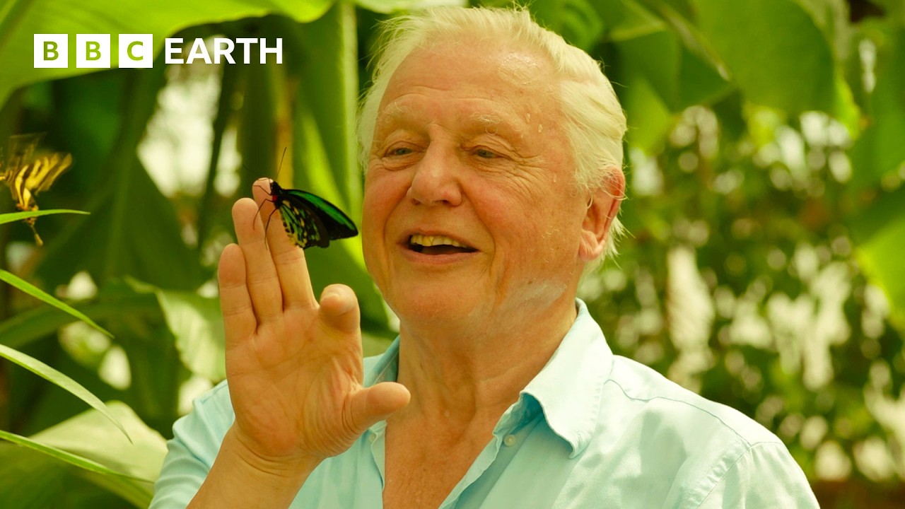 Micro-post #186: Sir David Attenborough at 100