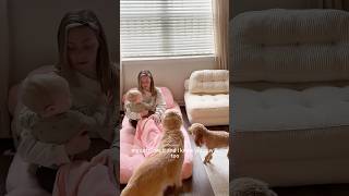 this sofa bed is so stinking comfortable