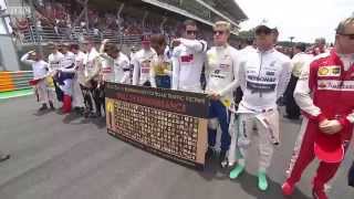 2015 Brazil - Pre-Race: Grid Walk with David Coulthard