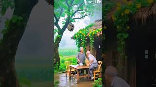 An elderly couple runs into the house as a beehive falls from the tree #rurallife
