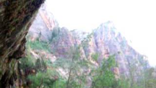 Weeping Rocks At Zion National Park
