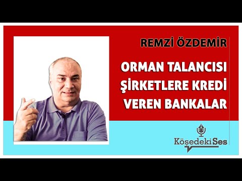 REMZİ ÖZDEMİR -"ORMAN TALANCISI ŞİRKETLERE KREDİ VEREN BANKALAR" * Köşe Yazısı Dinle *