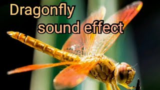 Dragonfly    Sound Effect