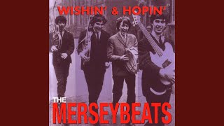 Video thumbnail of "The Merseybeats - I Stand Accused"
