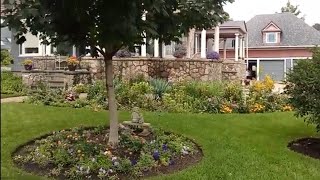 Beautiful plants and flowers in yards || Illinois neighborhoods