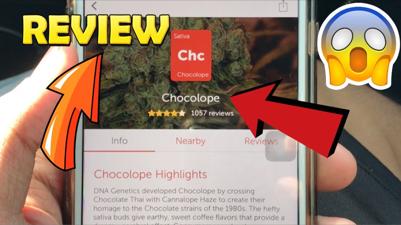Chocolope Review Sesh (CHECK DESCRIPTION )