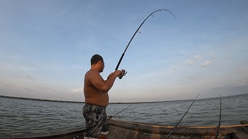 24h SĂN CÁ BÔNG LAU TRÊN SÔNG MEKONG, LOÀI CÁ ĐẮT ĐỎ NHẤT Ở SÔNG