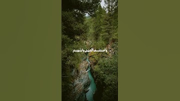 لن تمل من هذا الصوت 😢 | أجمل تلاوة تهز المشاعر