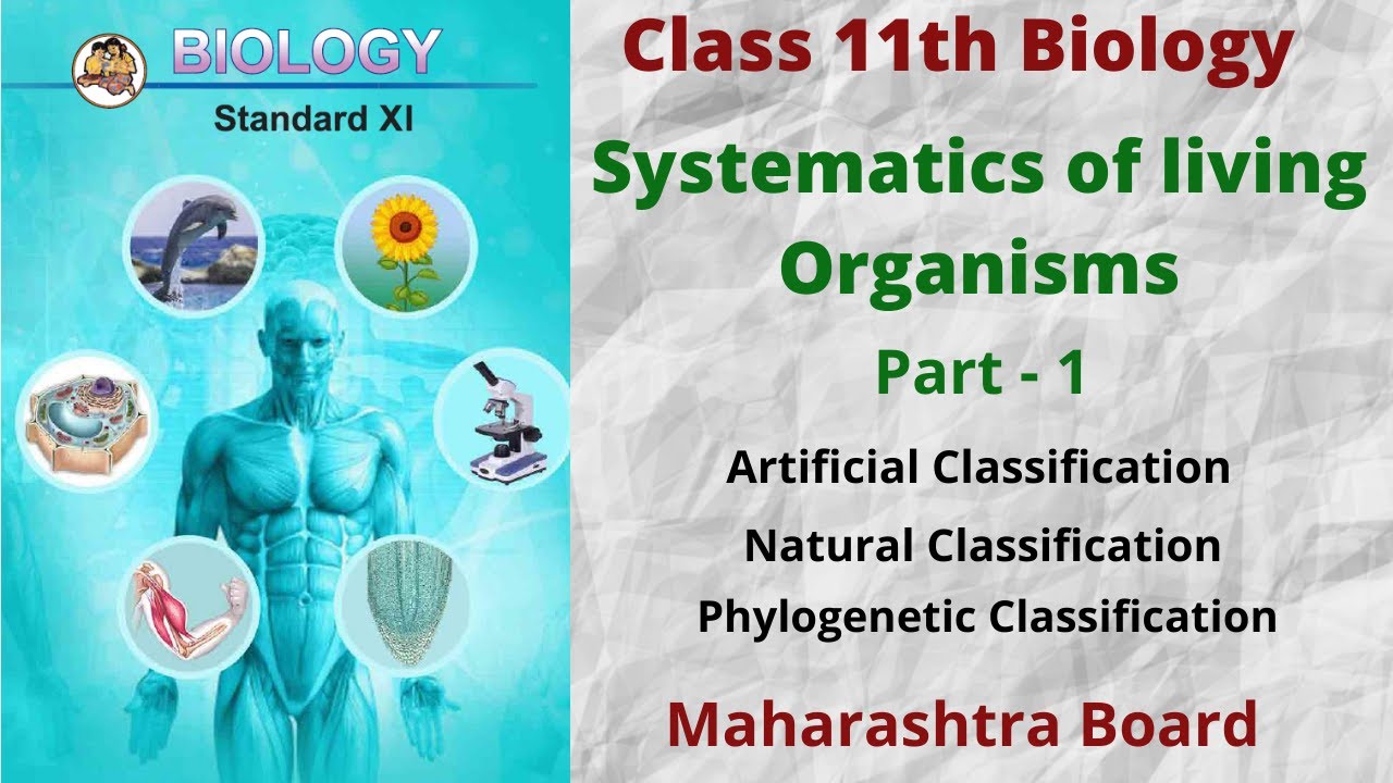 4th Lesson Environmental Management Part 1 10th Std Maharashtra Board In Marathi Biology Youtube 4th Lesson Environmental Management Part 1 10th Std Maharashtra Board In Marathi Biology Youtube