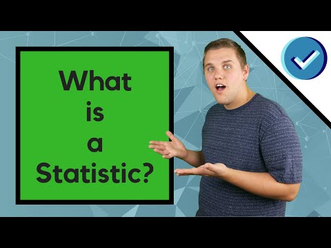 What is Statistics? What is a Statistic? What is Probability?