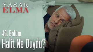 Halit'in kararını kesinleştiren konuşma! - Yasak Elma 43. Bölüm