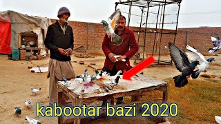 Baba g Ki purani kabutar ki nasal Ka shok interview 2020 || kabootar bazi Punjab[Faisalabad pigeon]