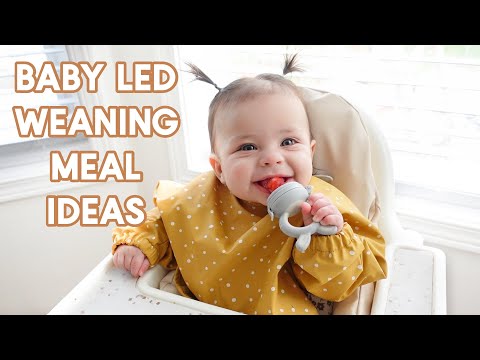 WHAT MY 6 MONTH OLD EATS IN A DAY | BF + Baby Led Weaning