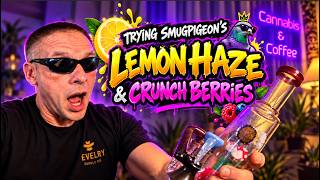 Trying Lemon Haze and Crunch Berries from Smugpigeon LIVE!!!!!!!!  ep656