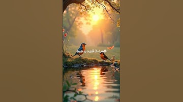#quran #اذكار #قرآن_كريم #تلاوة_خاشعة #islam #دعاء_الصباح #دعاء #اذكار_الصباح