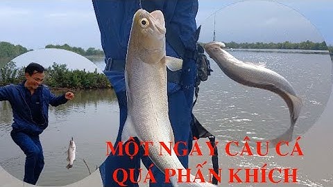 Đi câu cá chẽm mà cà Chéc phá quá trời và cái kết quá phấn khích || Thiên Nhiên Muôn Loài