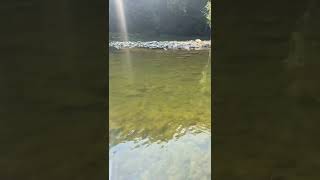 Drt Klash 9 In Action