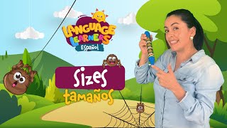 Sizes in spanish | Language Learners