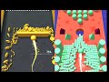 Color Bump 3D Play Mobile GameiOSAndroidGameplay27