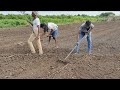 agricultural land preparing