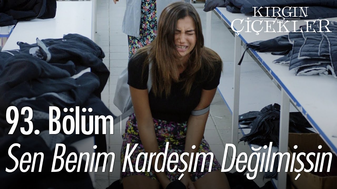 Sen benim kardeşim değilmişsin - Kırgın Çiçekler 93. Bölüm