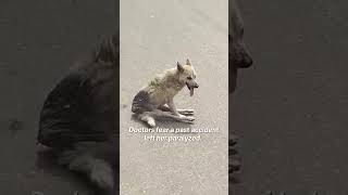 Zarek's Campaign Story [STORY BELOW]